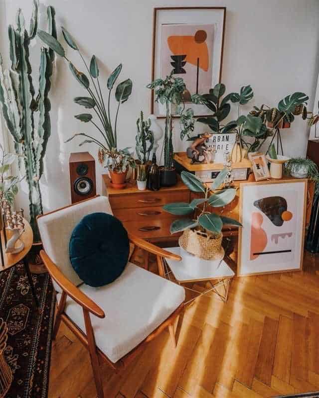 Decorative Plants And Chair — Timber Floors In Central Coast, NSW