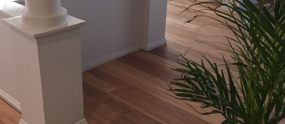 Blackbutt Brushedmatt Floor With Ornamental Plants — Timber Floors In Central Coast, NSW