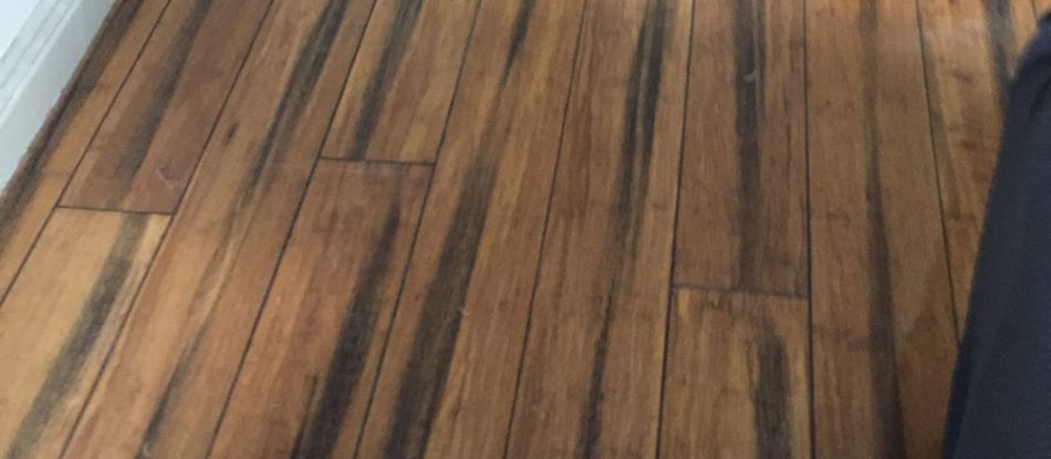 Floor — Timber Floors In Central Coast, NSW