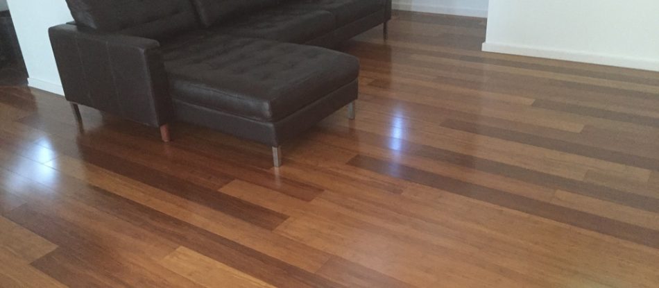 Shiny Floor Side View With Black Sofa — Timber Floors In Central Coast, NSW