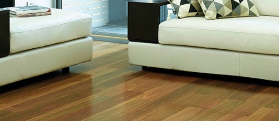 Spotted Gum Brushed Matt Living Area Floor — Timber Floors In Central Coast, NSW