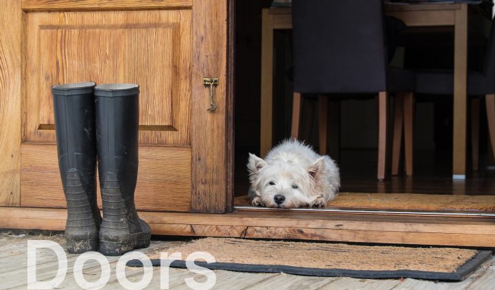 Boots and Pet Dog at the Door Entrance — Timber Floors In Central Coast, NSW